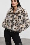 Graz Cita Kurk  Leopar