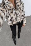 Graz Cita Kurk  Leopar